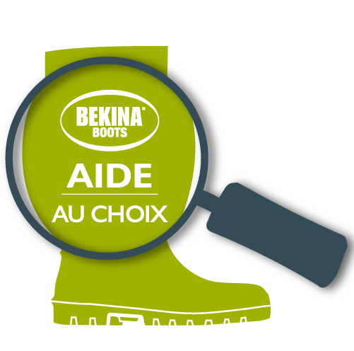 Aide Au Choix Icon FR